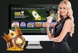 shell888 Papan Corak Bull Bull